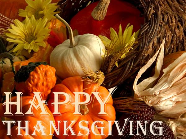 Happy Thanksgiving from the Treeline, Inc. team