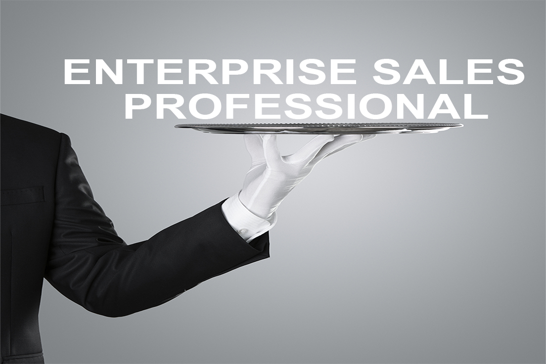 Enterprise Sales Professional Blog Image
