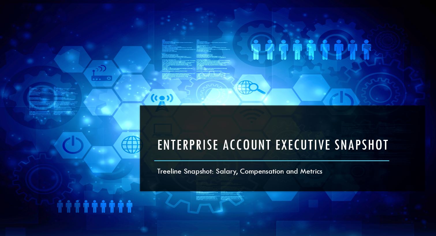 Enterprise Account Executive Snapshot