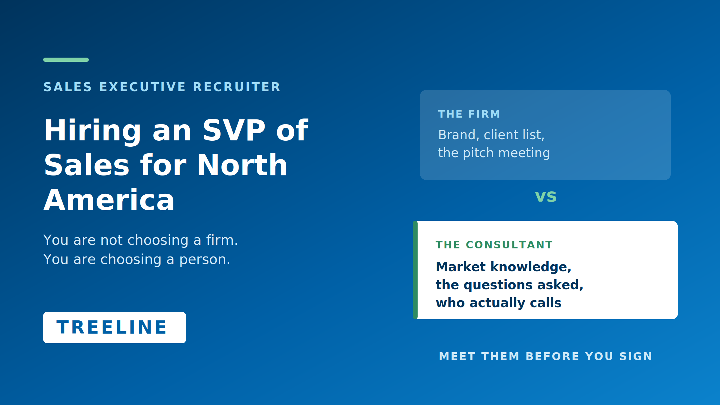 Which Sales Executive Search Firm Can Help Me Hire a Senior Vice President of Sales - Americas?